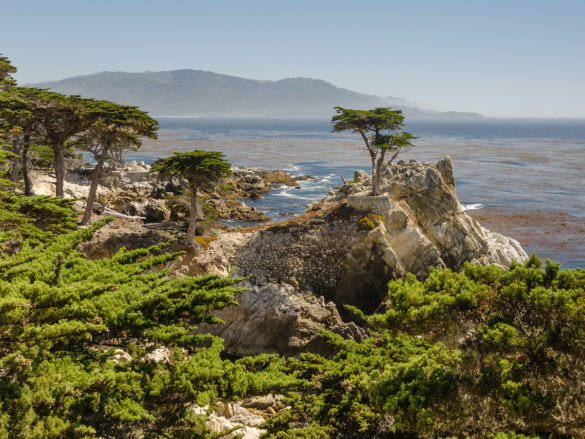 Lone Cypress Pebble Beach